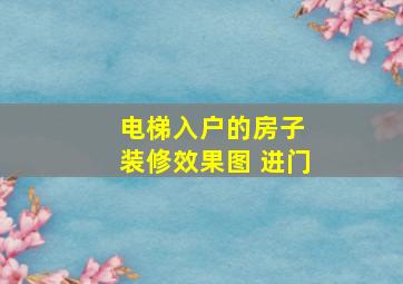 电梯入户的房子 装修效果图 进门